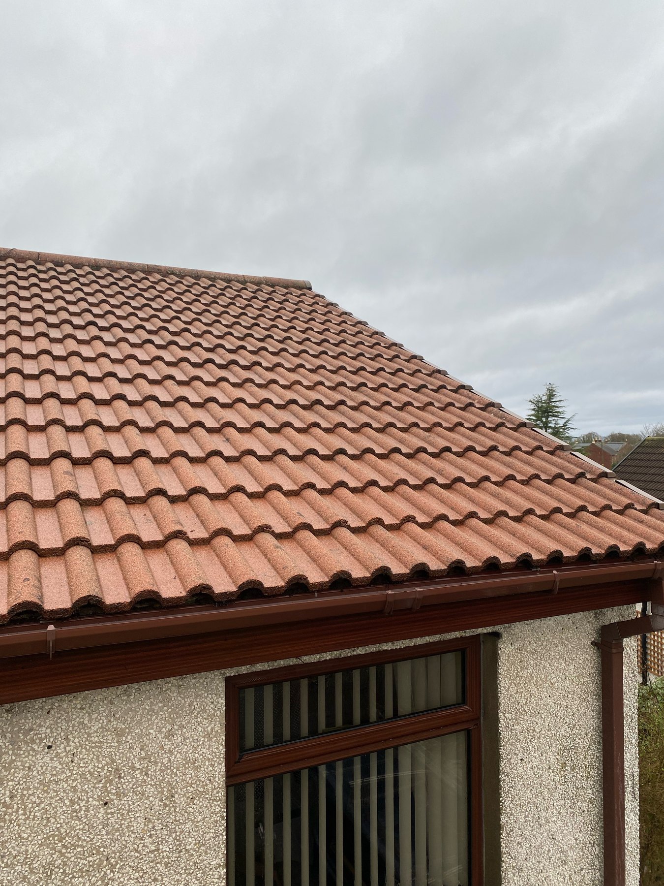 Clay roof tiles after cleaning